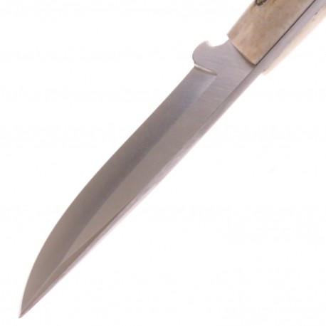 Bo02ba519h Boker Arbolito Cuchillo Caper Caza Asta Venado con funda