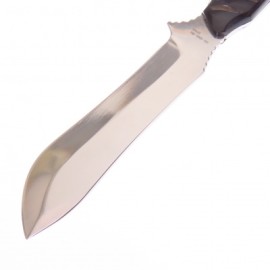 Hr5003rh Hen & Rooster Cuchillo Hunter Cuerno Borrego C fnda